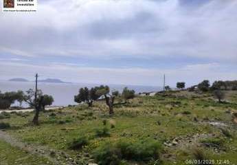 461037-Vorschaubild4