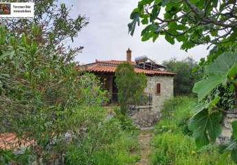 461046-Vorschaubild2