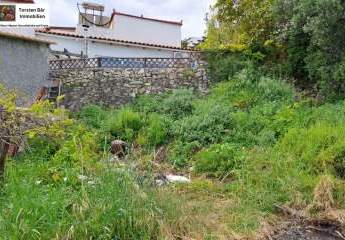 461046-Vorschaubild4