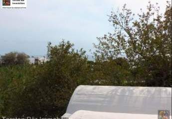 461048-Vorschaubild3