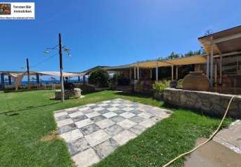 461055-Vorschaubild3