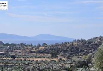 461061-Vorschaubild3