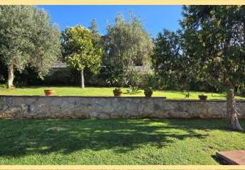 461069-Vorschaubild2