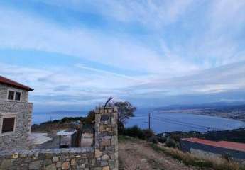 459008-Vorschaubild4