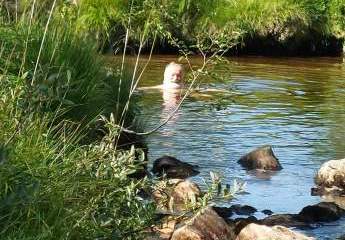 424044-Vorschaubild3