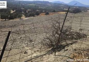 461380-Vorschaubild4