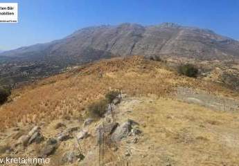 461330-Vorschaubild3