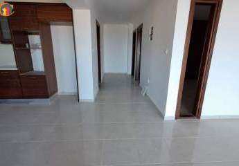 461129-Vorschaubild4