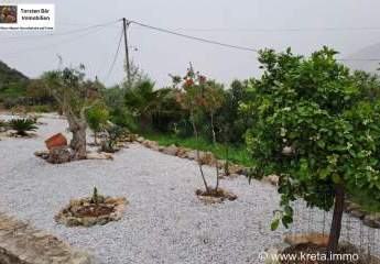 453689-Vorschaubild4