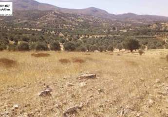 461143-Vorschaubild4