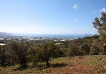 461154-Vorschaubild4