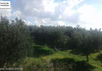 461159-Vorschaubild2