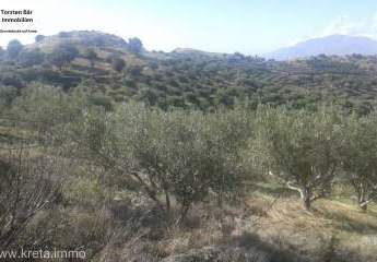 461159-Vorschaubild4