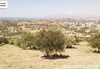 461162-Vorschaubild3