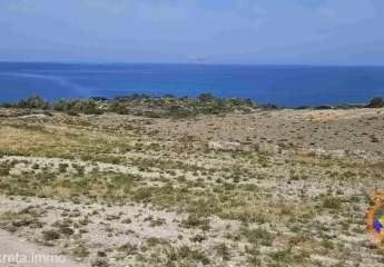 461181-Vorschaubild4