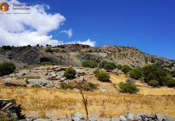 461185-Vorschaubild2