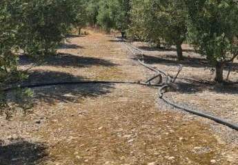 461187-Vorschaubild3