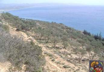 461233-Vorschaubild2