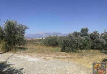 461243-Vorschaubild4