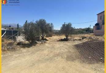 461224-Vorschaubild3