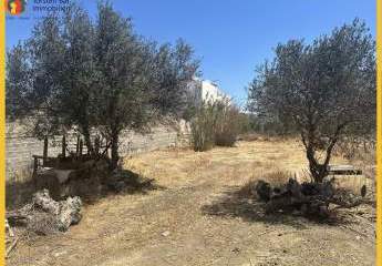 461224-Vorschaubild4