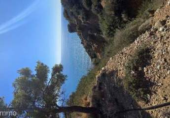 461275-Vorschaubild4