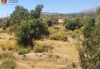 461219-Vorschaubild3