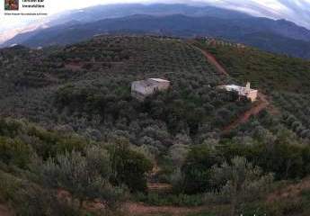 462761-Vorschaubild4