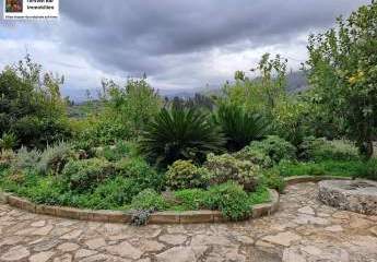 453688-Vorschaubild3