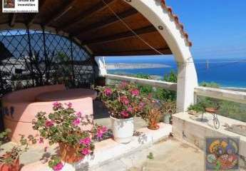 461131-Vorschaubild2