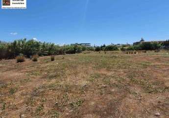 469266-Vorschaubild3