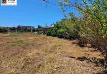 469266-Vorschaubild4