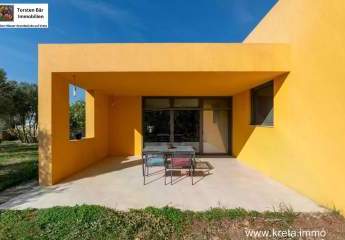 469366-Vorschaubild4