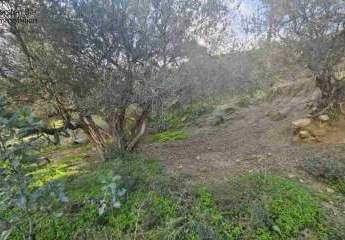 461019-Vorschaubild3