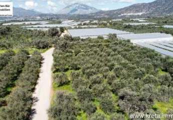 462521-Vorschaubild2