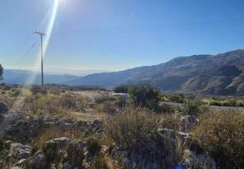 469225-Vorschaubild3