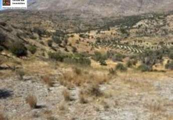 470889-Vorschaubild2