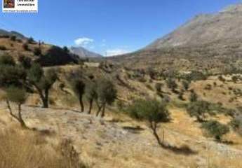 470889-Vorschaubild3