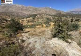 470889-Vorschaubild4