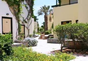 461193-Vorschaubild2