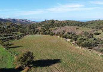 461213-Vorschaubild2