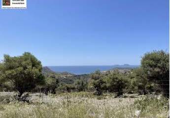Großes Grundstück mit Olivenbäumen und Meerblick in der Nähe von Agia Galini