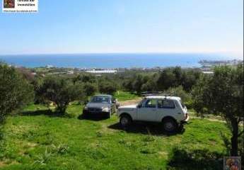 471310-Vorschaubild4