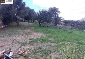 469267-Vorschaubild4