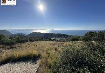 471311-Vorschaubild3