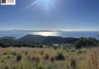 471311-Vorschaubild4