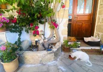 427950-Vorschaubild3