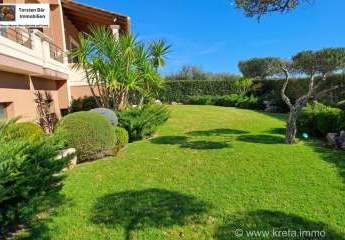 453747-Vorschaubild4