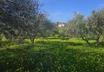 Ihr Zuhause im kretischen Bergidyll: 1.498 m² Bauland nahe Sivas Kern, Kreta