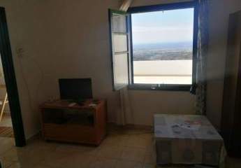 462517-Vorschaubild4